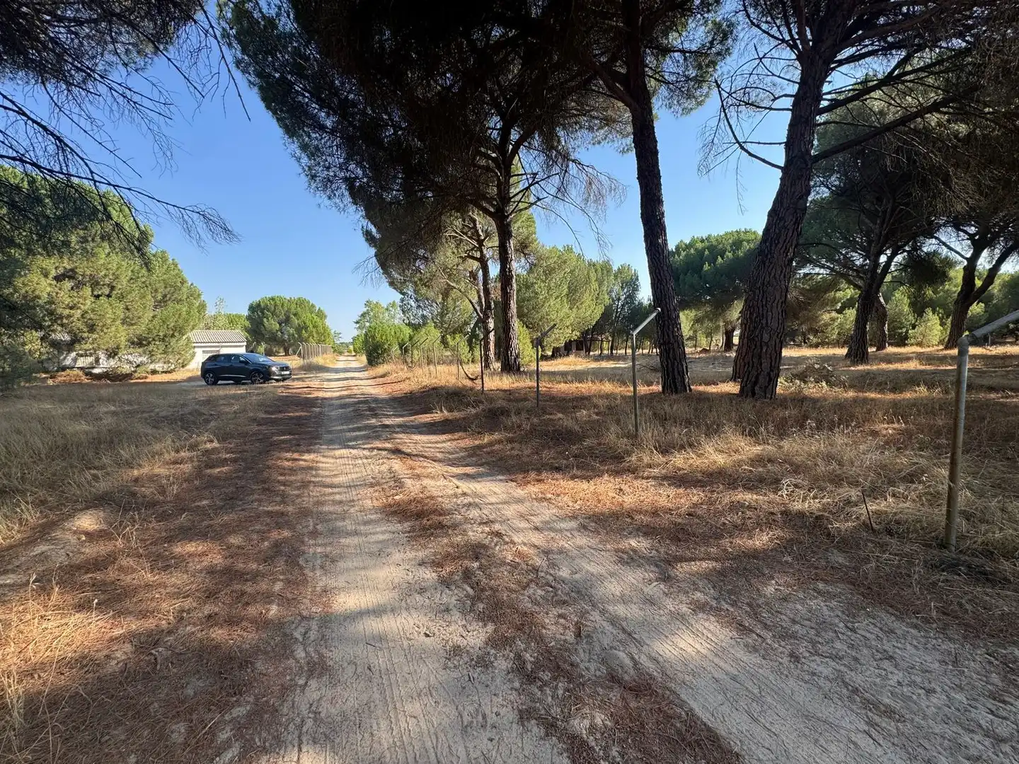 Rural land for sale in Camino del Serrano, imagen 8