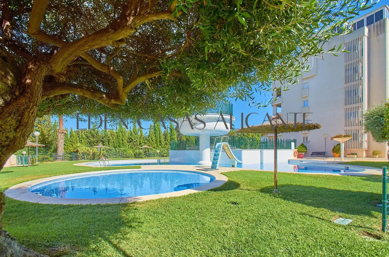 Piso con terraza en venta en Avenida PINTOR FERNANDO SORIA, imagen 4
