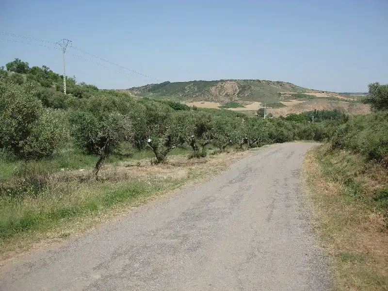 Terreny rústic en venda a Villamediana de Iregua, imagen 6
