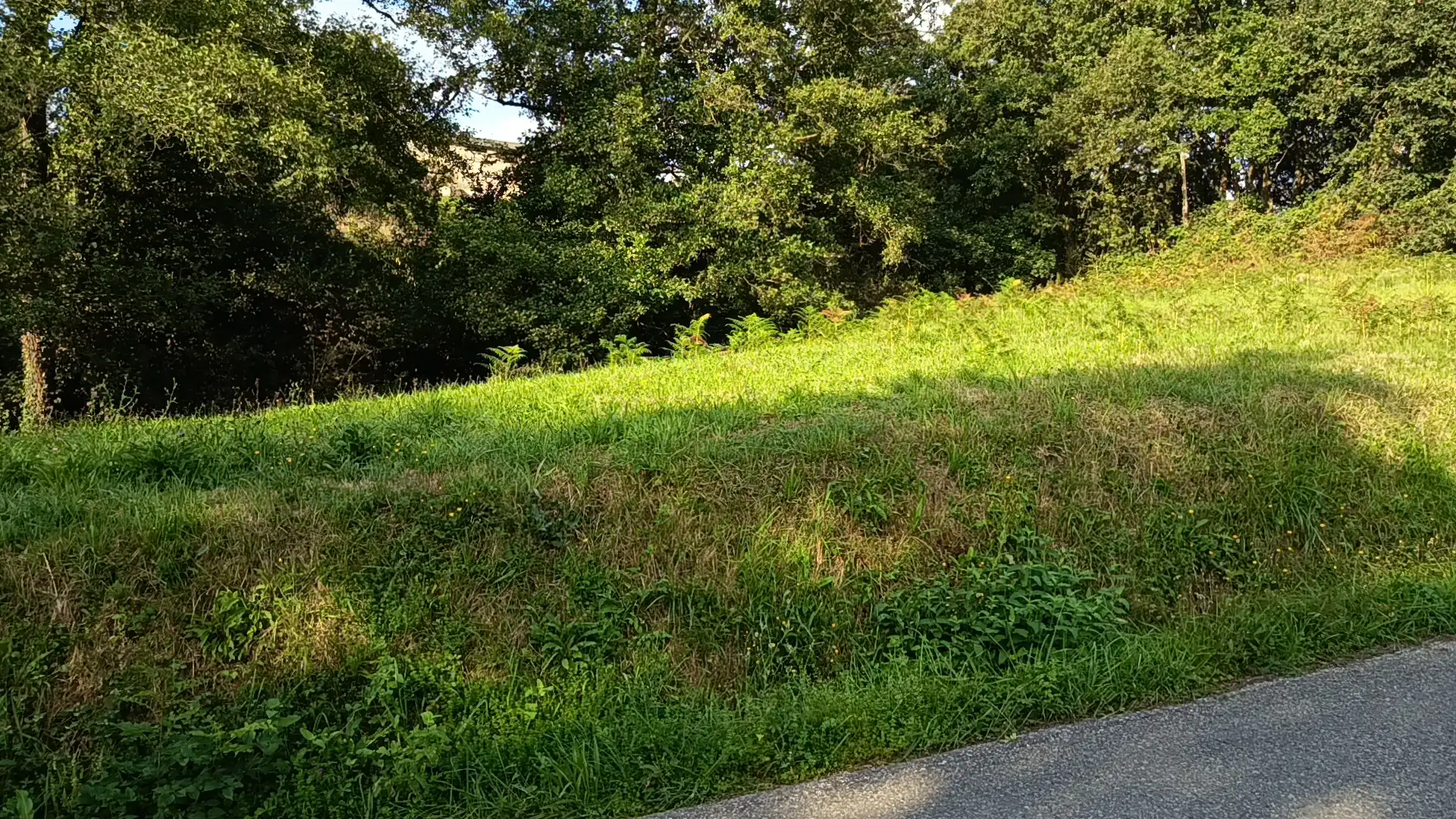 Rural land for sale in Lugar el Ponton, imagen 12