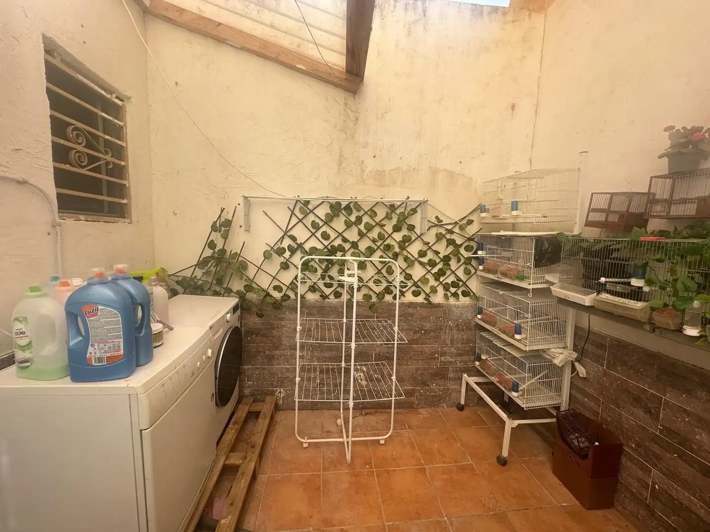 Chalet con jardín en venta en Novelda, imagen 44