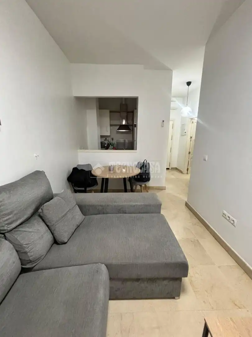 Sala de estar de Piso de alquiler en Sevilla con Aire acondicionado