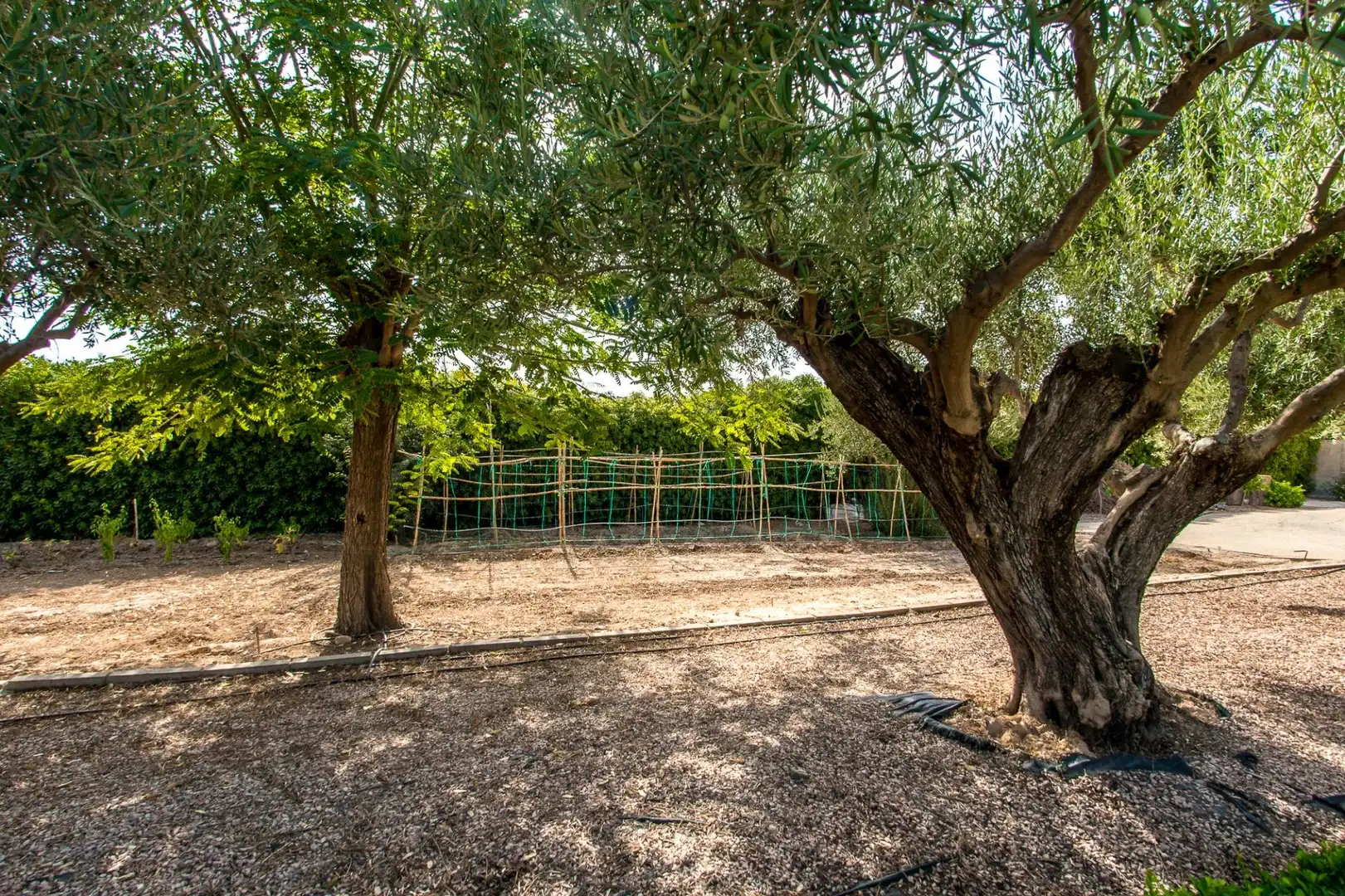 Haus oder Chalet zum Verkauf in Murcia, Murcia