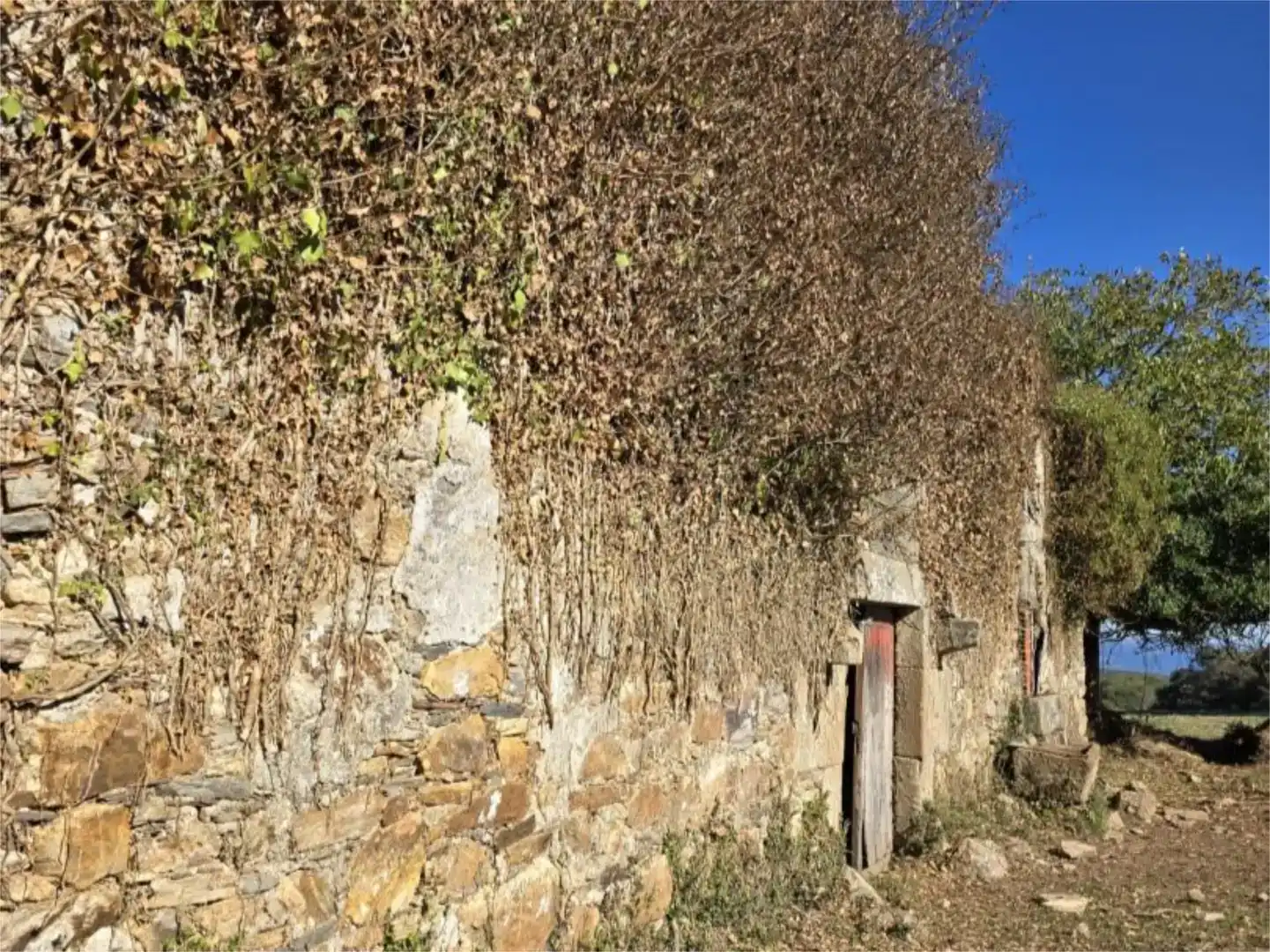 Vista exterior de Casa o xalet en venda en Paradela amb Jardí privat