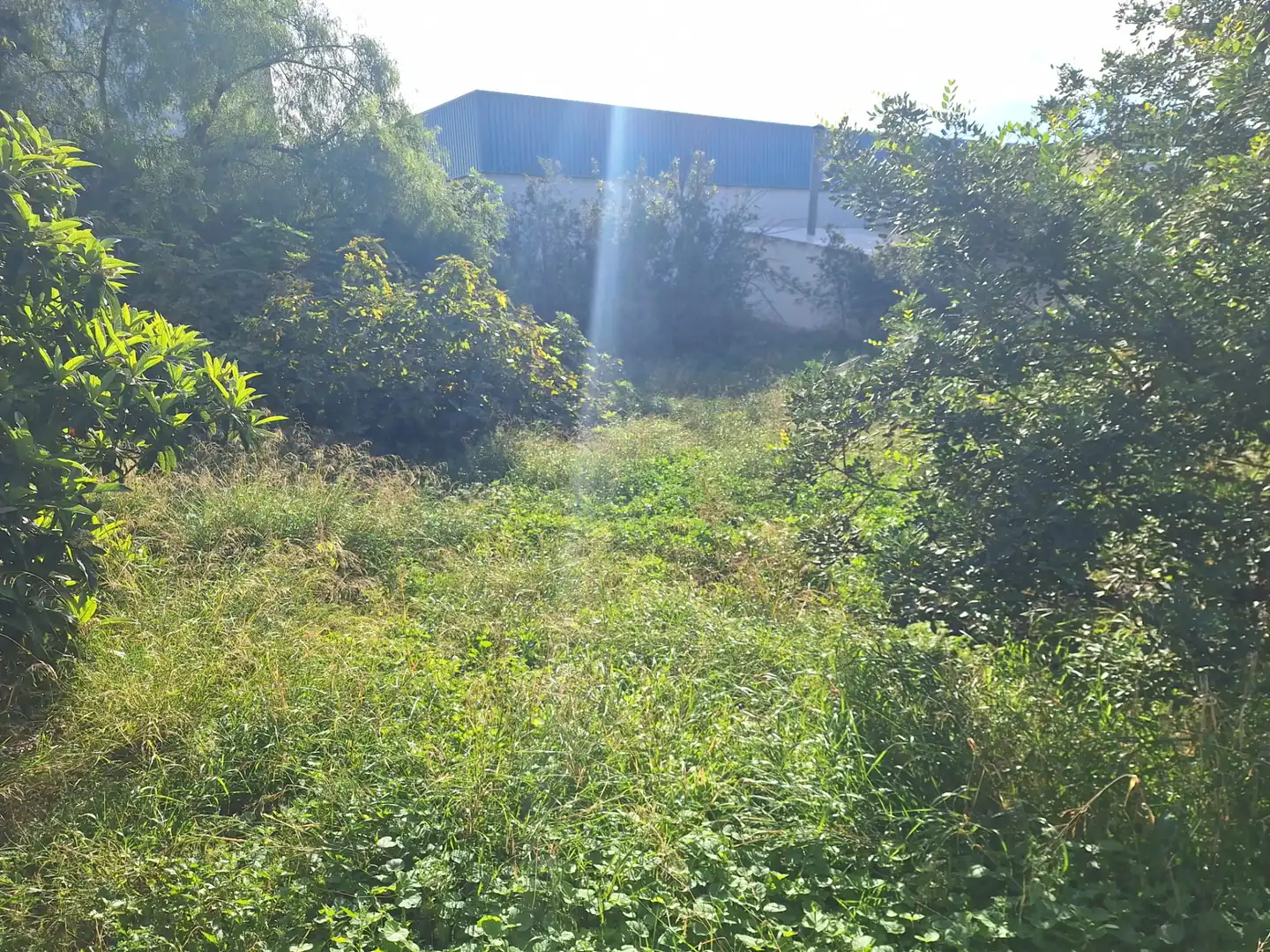 Casa o chalet en venta en San Vicente del Raspeig / Sant Vicent del Raspeig con Jardín privado, Terraza y Trastero