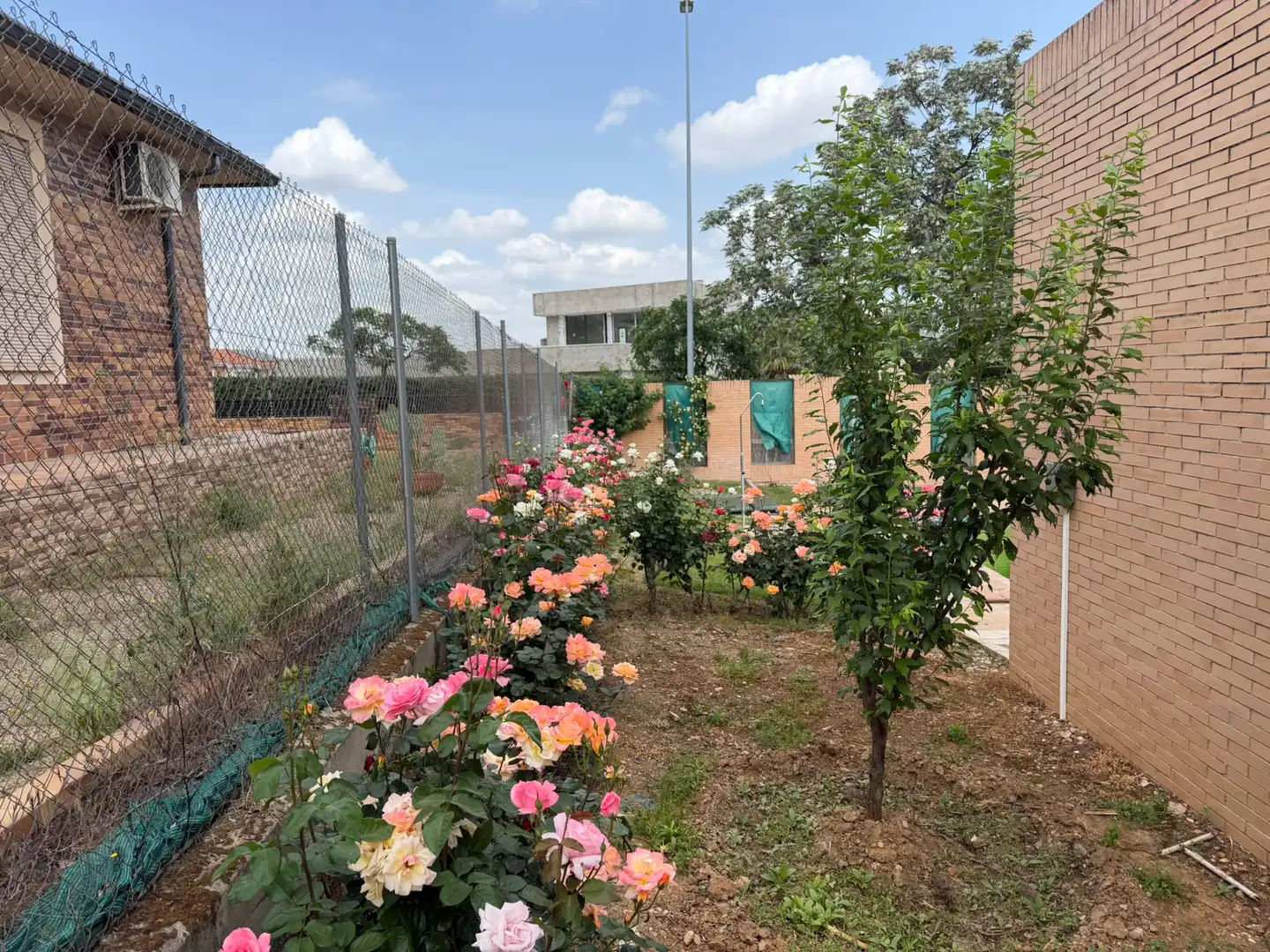 Jardí de Casa o xalet en venda en Badajoz amb Aire condicionat, Calefacció i Jardí privat