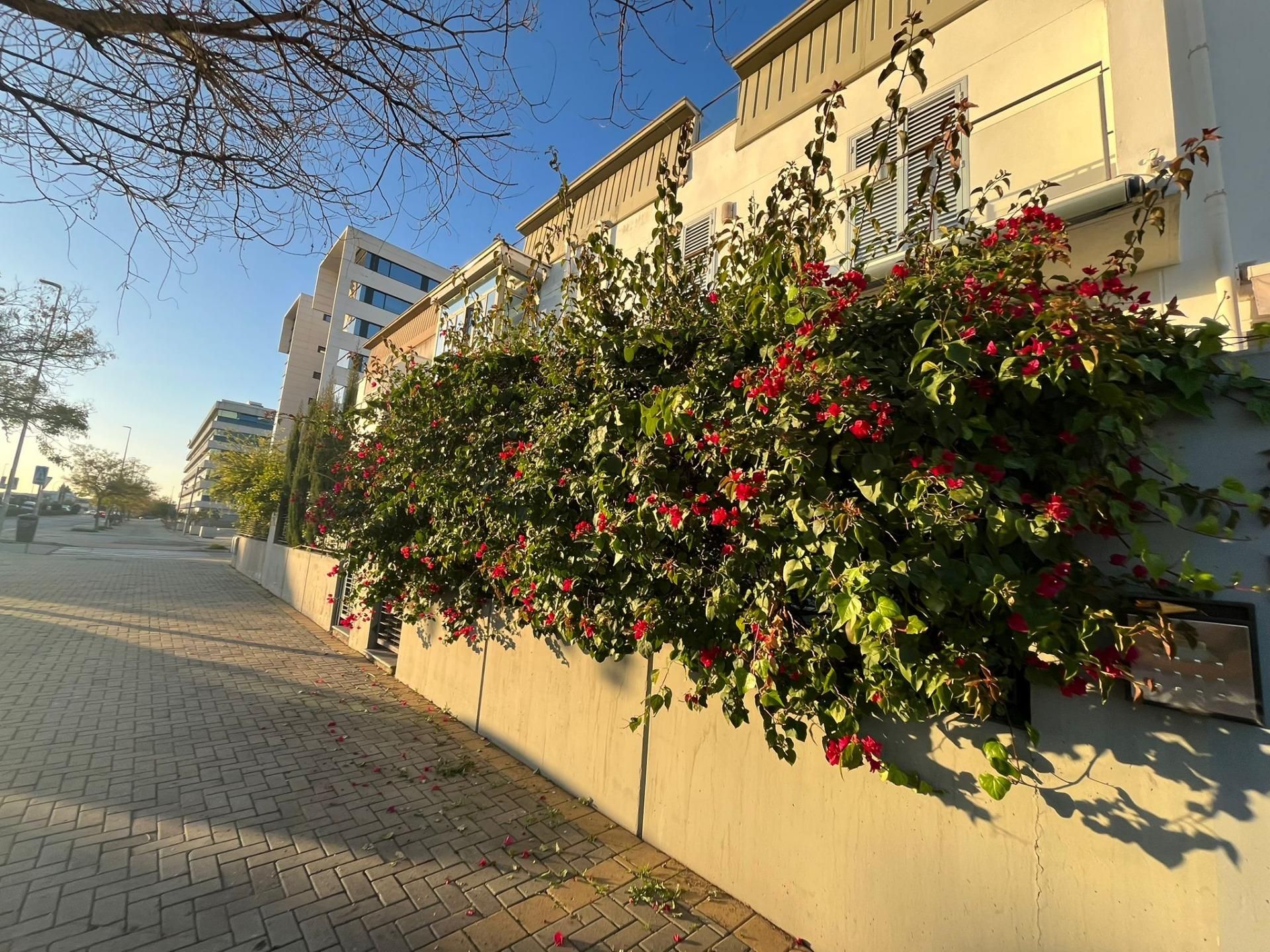 Exterior view of Single-family semi-detached for sale in  Sevilla Capital  with Air Conditioner, Heating and Private garden