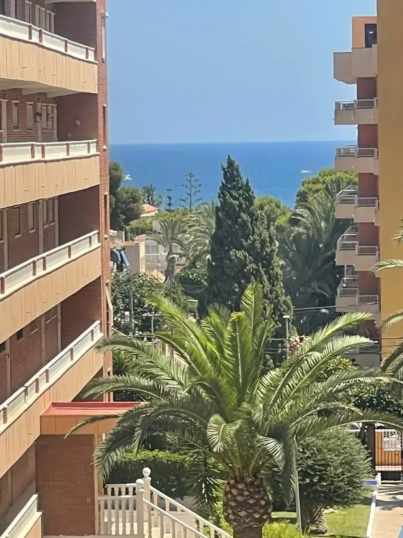 Vista exterior de Apartament de lloguer en Torrevieja amb Calefacció, Terrassa i Piscina