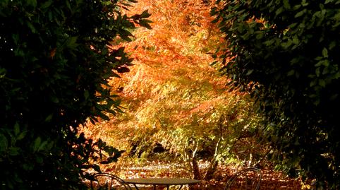 Foto 4 de Finca rústica en venda a Diseminado el Turcal, 1, Torremenga, Cáceres