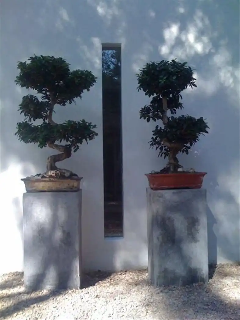 Chalet con piscina en venta en Sant Josep, imagen 10