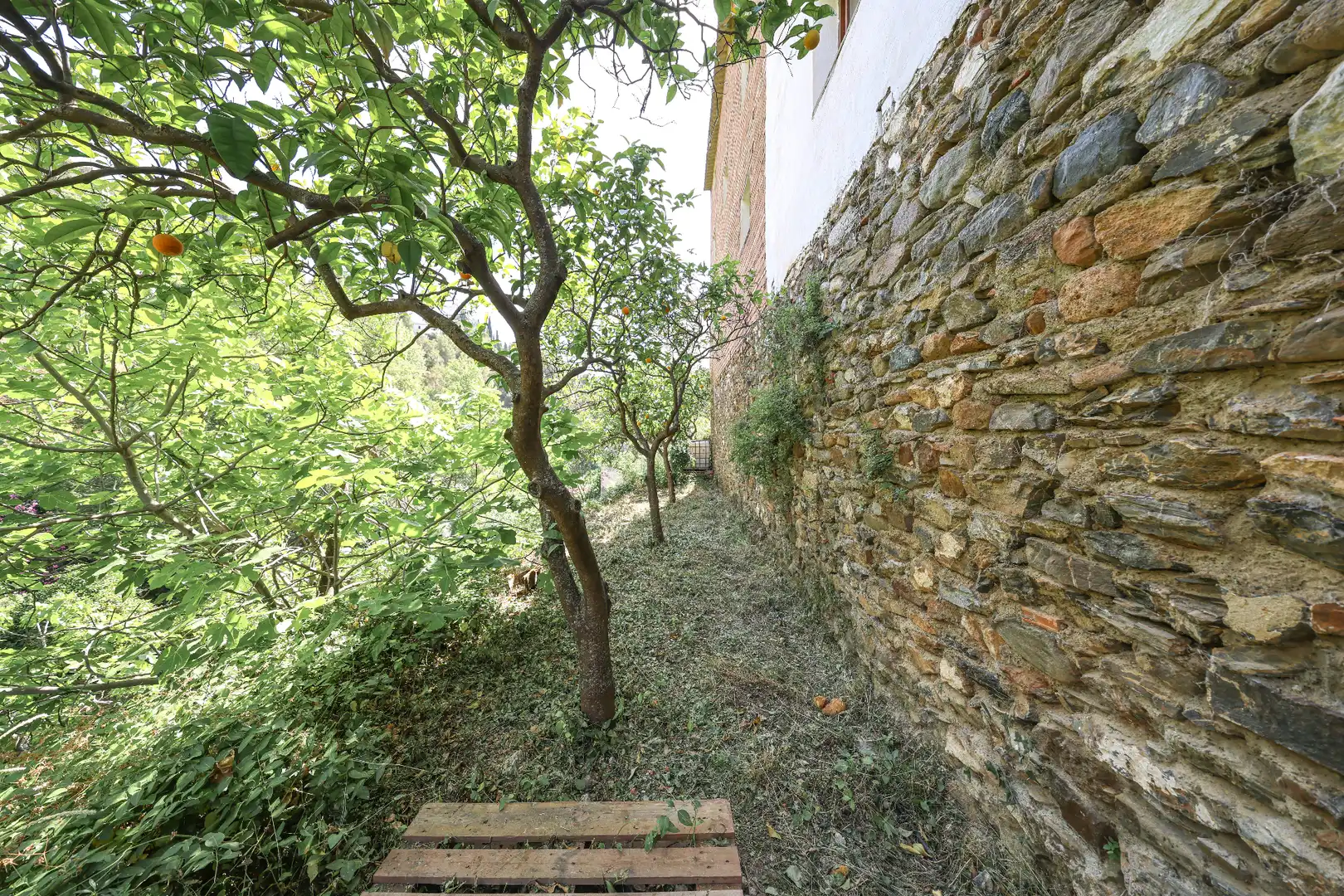 Rustikales Grundstück zum Verkauf in Calle Barranco de Amador, imagen 8