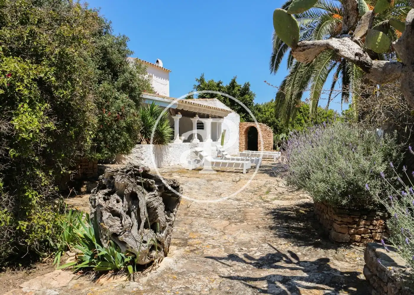 Vista exterior de Casa o chalet en venta en Formentera con Aire acondicionado, Calefacción y Jardín privado