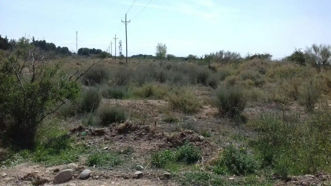 Terrenos y solares en venta en Pla de la Cerdera, imagen 4