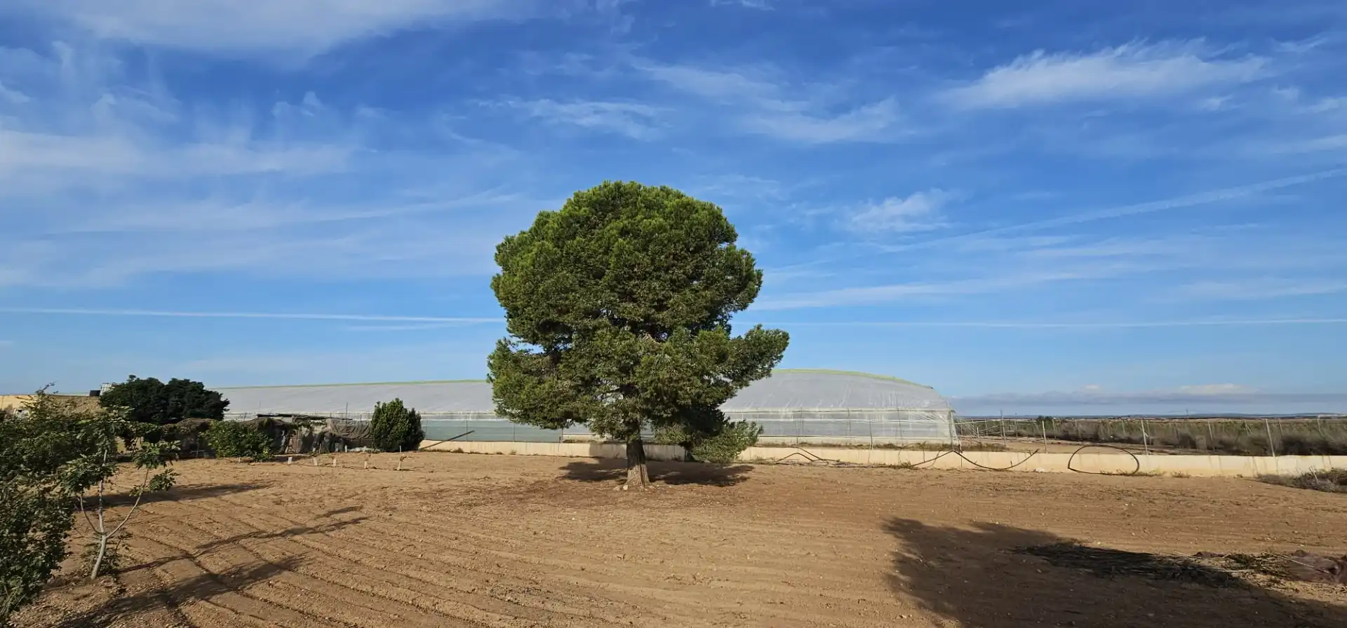 Außenansicht von Grundstücke zum Verkauf in San Javier
