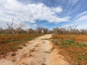 Terreno rustico in vendita a Padul