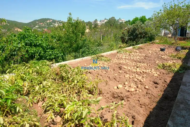Casa o xalet en venda a Carrer del Roser, Riudarenes