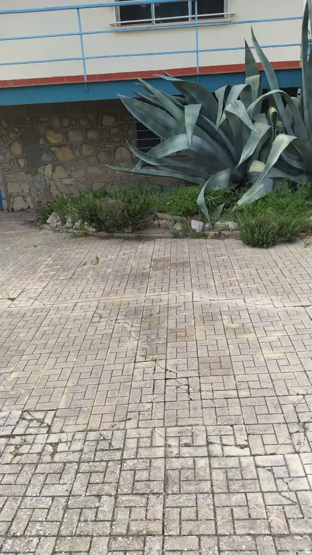 Xalet amb piscina en venda a La Guardia de Jaén, imagen 21