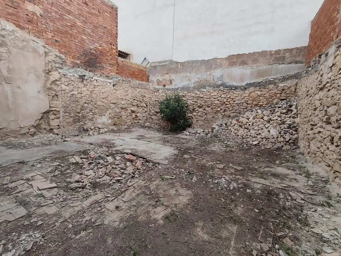 Terrenos y solares en venta en Aspe Centro, imagen 2