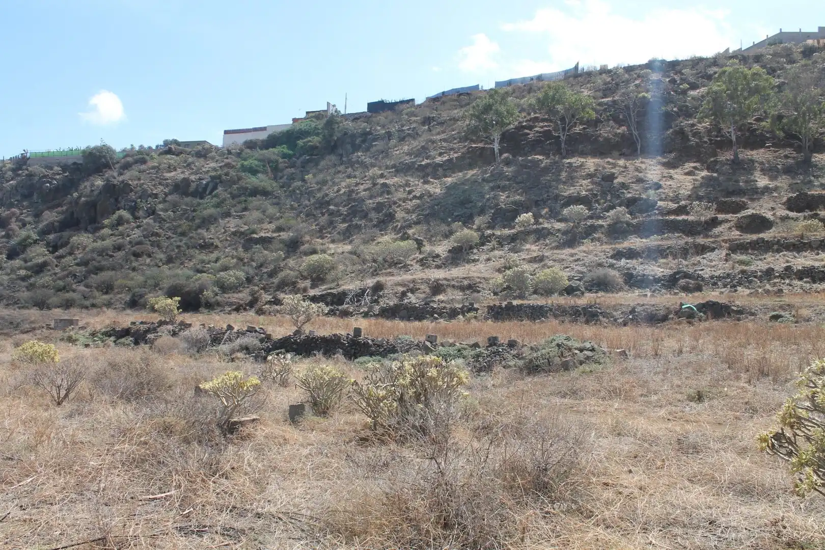 Rural land for sale in San Gregorio, imagen 3