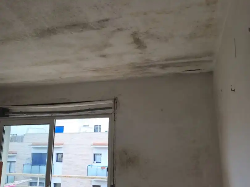 Wohnung mit Garten zum Verkauf in Jardi 18, imagen 5