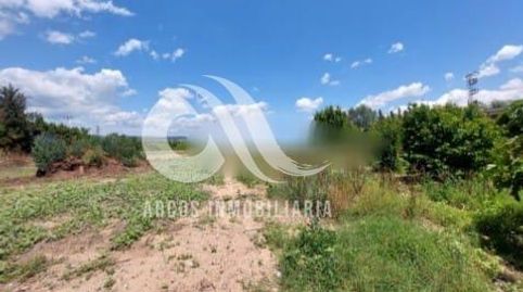 Foto 4 de Finca rústica en venta en Alcolea, Córdoba Capital