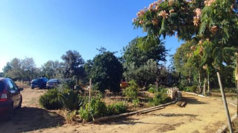 Foto 2 de Casa o chalet en venta en Umbrete, Umbrete, Sevilla