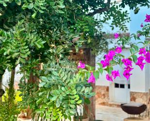 Jardí de Casa adosada en venda en Ciutadella de Menorca amb Aire condicionat, Calefacció i Jardí privat