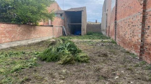 EXCLUSIVA APIÀLIA LLEIDA !!!, immagine 4