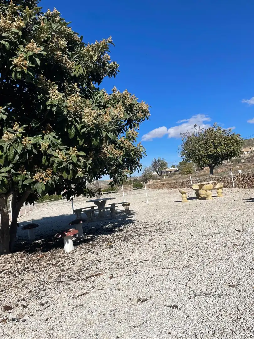 Casa rústica en venta en El Pinós / Pinoso, imagen 46