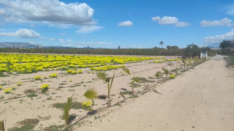 Photo 4 of Residential for sale in Los Arenales del Sol, Alicante