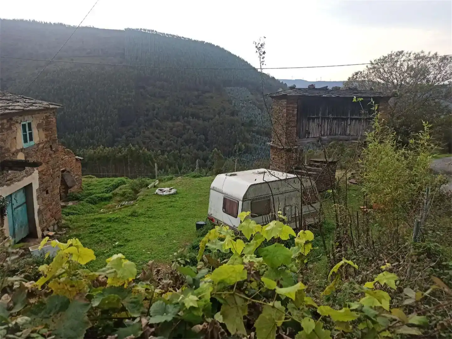 Jardí de Finca rústica en venda en A Pontenova  