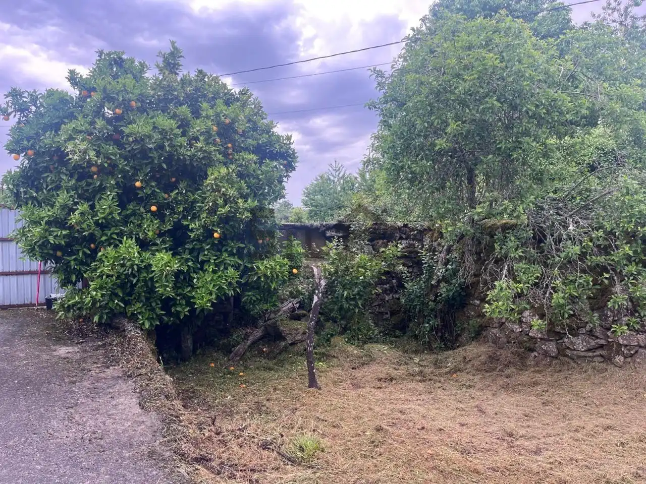 Casa o xalet en venda en Lobeira amb Jardí privat