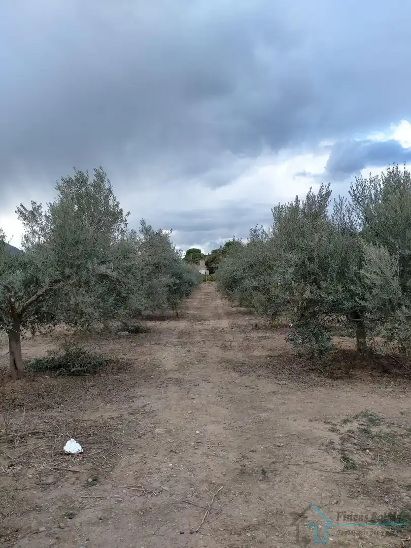 Terrains et parcelles à vendre à Gilet, imagen 9