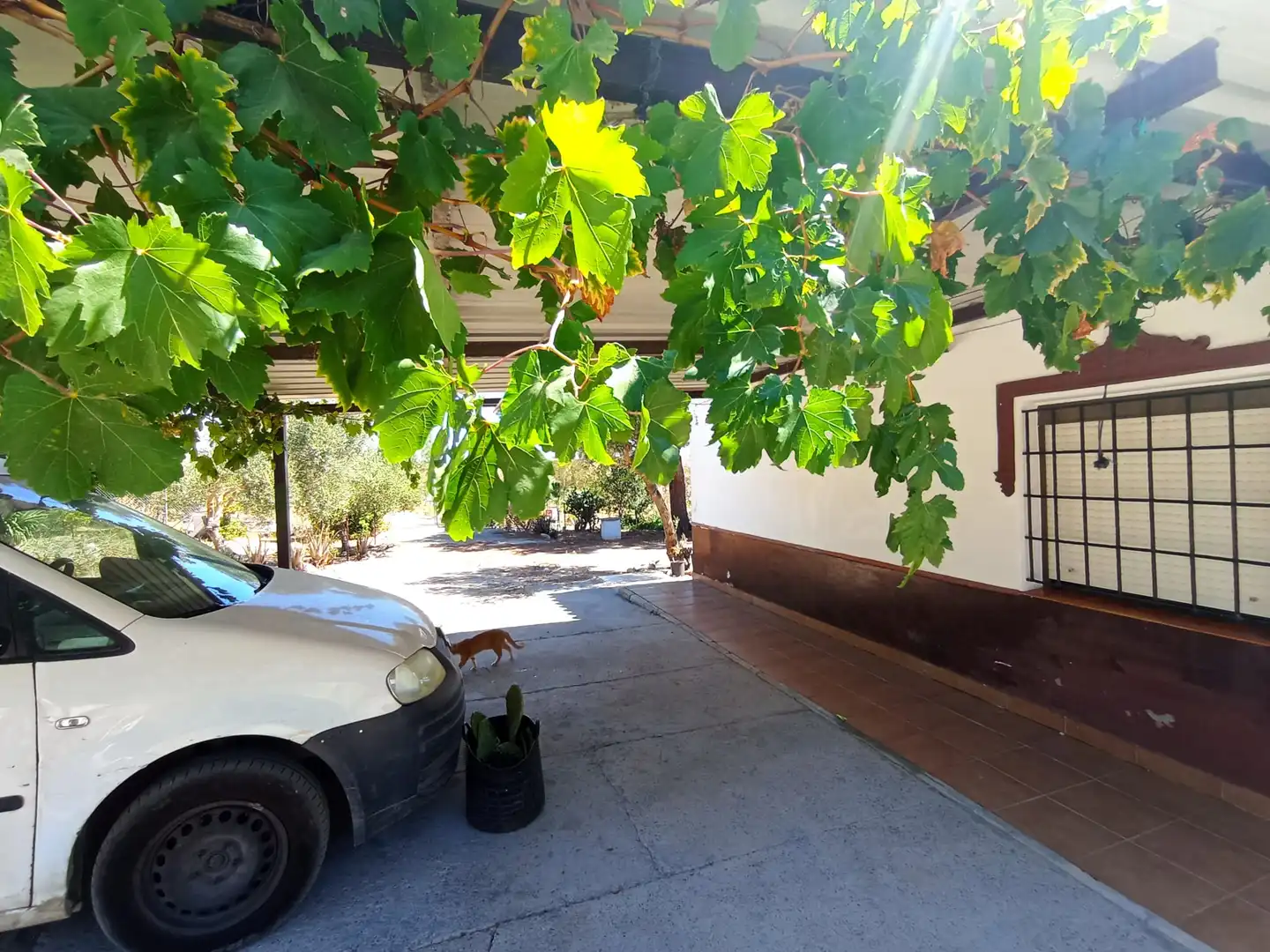 Parking of Country homes for sale in Chipiona  with Heating