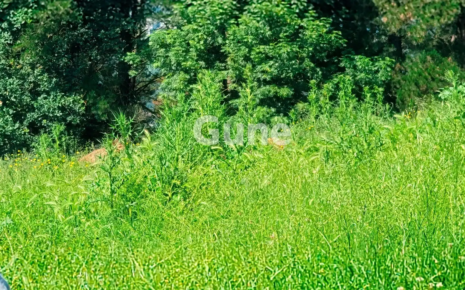 Country homes for sale in Idiazabal