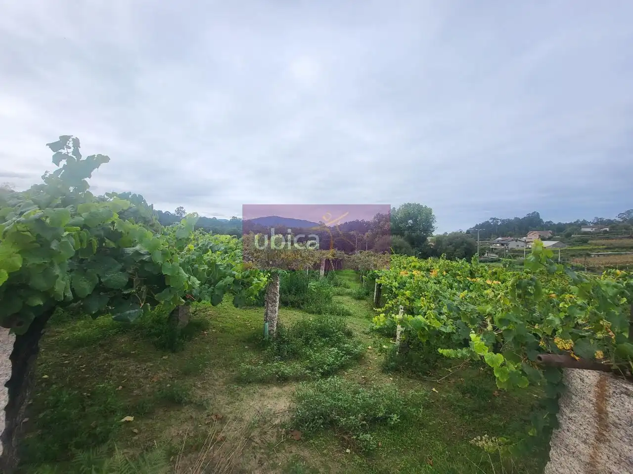 Residencial en venda en Salceda de Caselas, Pontevedra