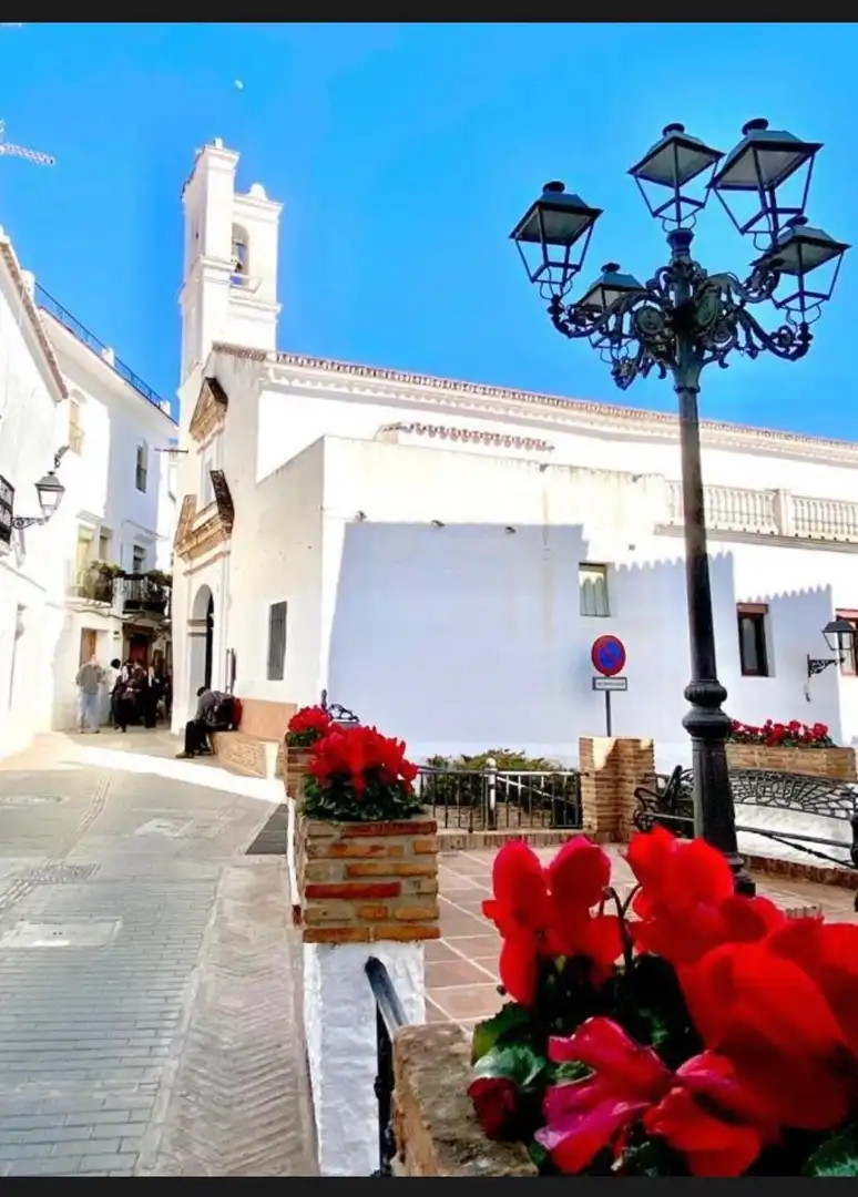 Vista exterior de Casa adosada en venta en Istán con Aire acondicionado, Calefacción y Terraza
