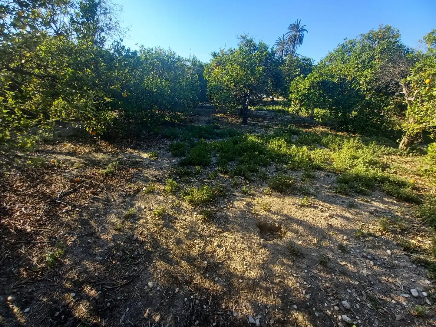 Residencial en venta en Algorós - El Derramador