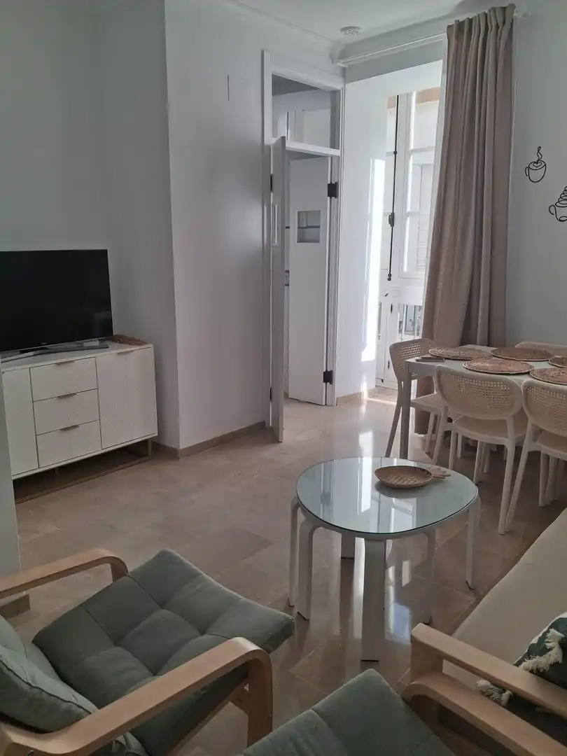 Sala d'estar de Pis de lloguer en Cádiz amb Moblat i Balcó