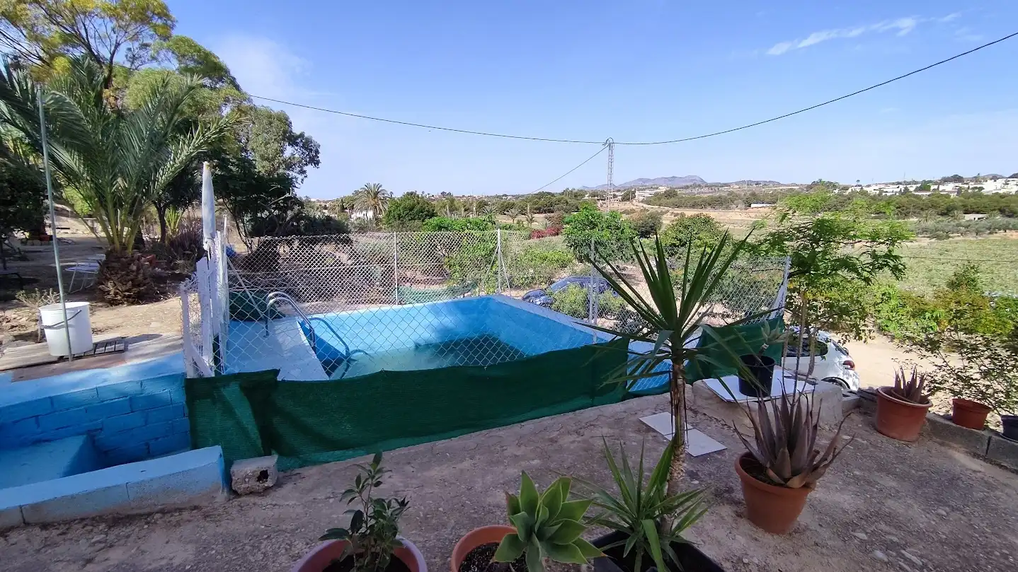 Piscina de Casa o xalet en venda en Elche / Elx amb Piscina