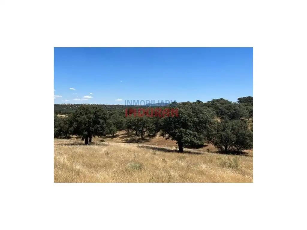 Finca rústica en venda en Alía