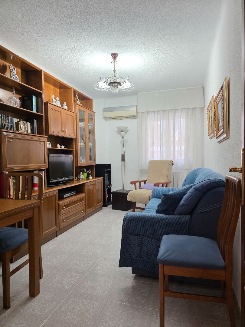 Living room of Flat for sale in  Madrid Capital  with Air Conditioner, Heating and Furnished
