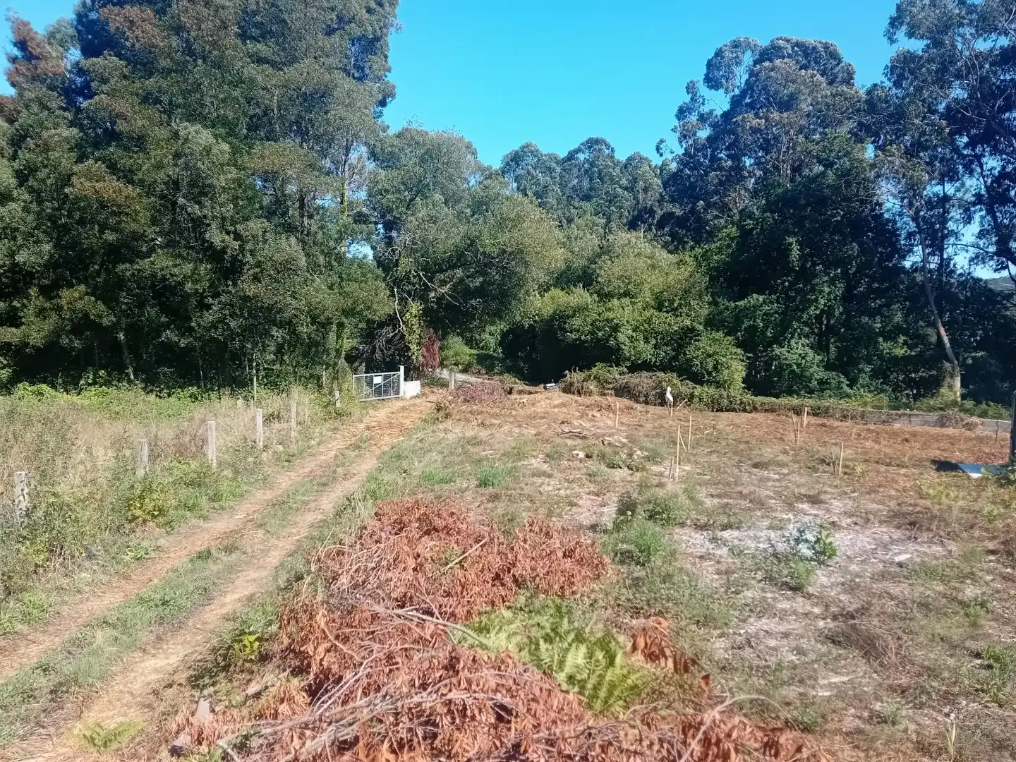 Terrain rustique à vendre à Carretera Portal-Valadares 151, imagen 4