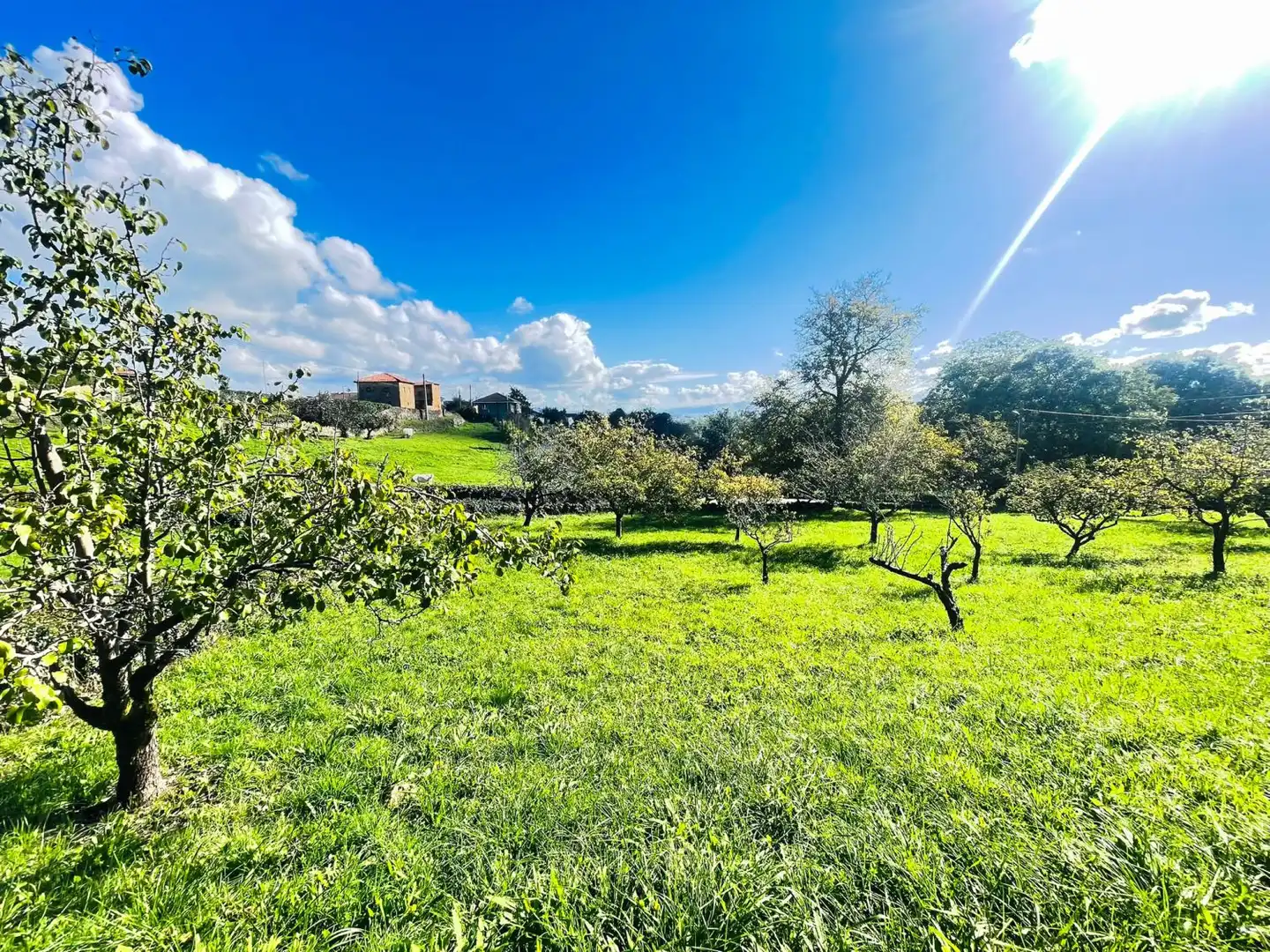 Casa o xalet en venda en Llanera amb Traster