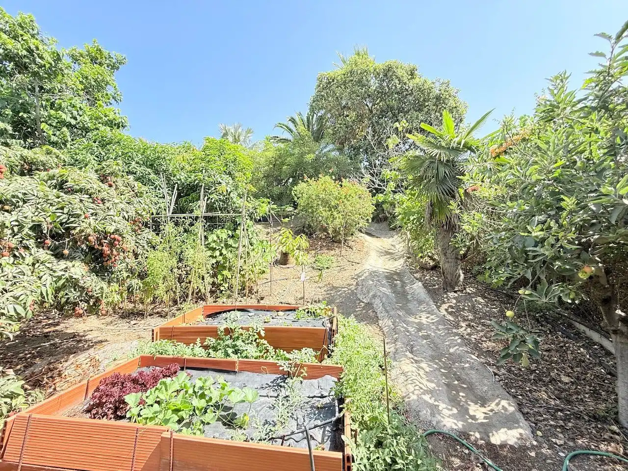 Jardín de Casa o chalet en venta en Vélez-Málaga con Aire acondicionado, Calefacción y Jardín privado