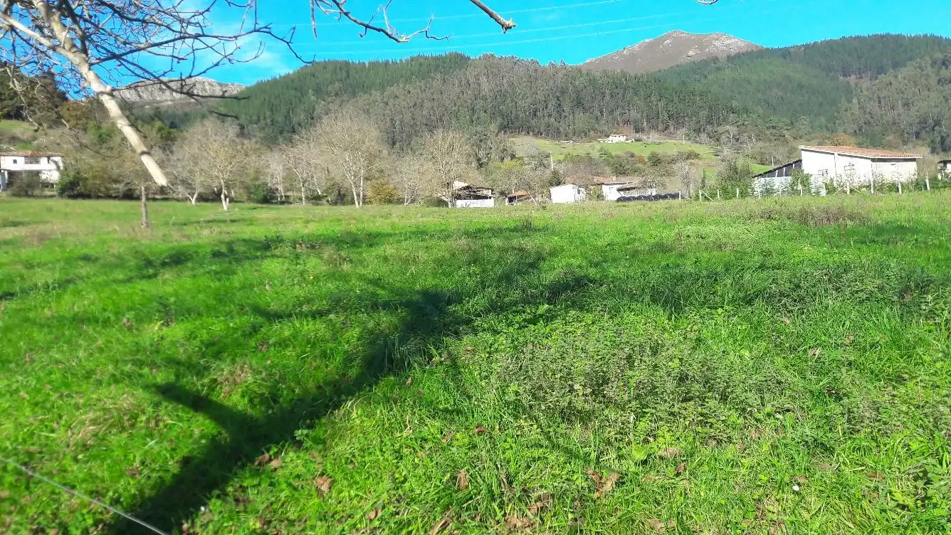 Terrenos y solares en venta en Bode, imagen 5