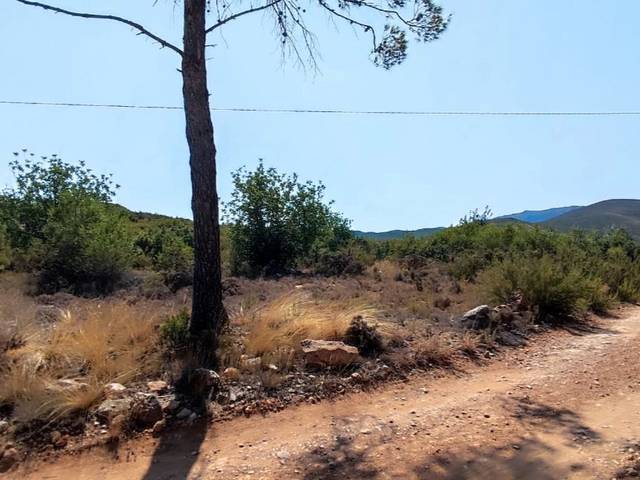 Terreno en Alquiler en Calle Vichinos, 7 en Macastre