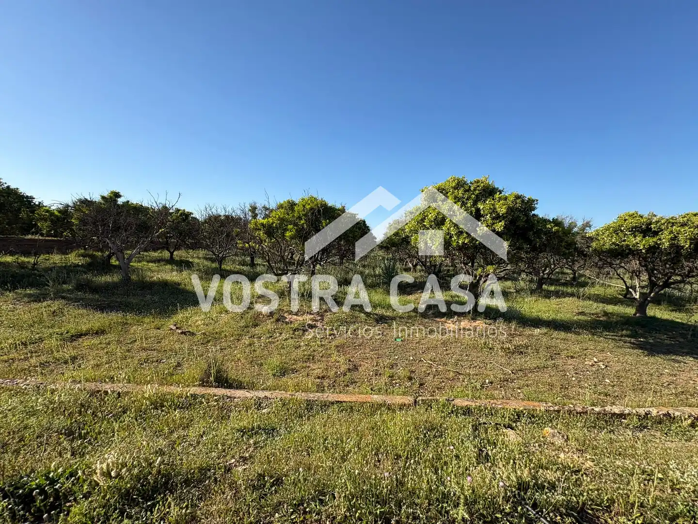 Land for sale in Chiva