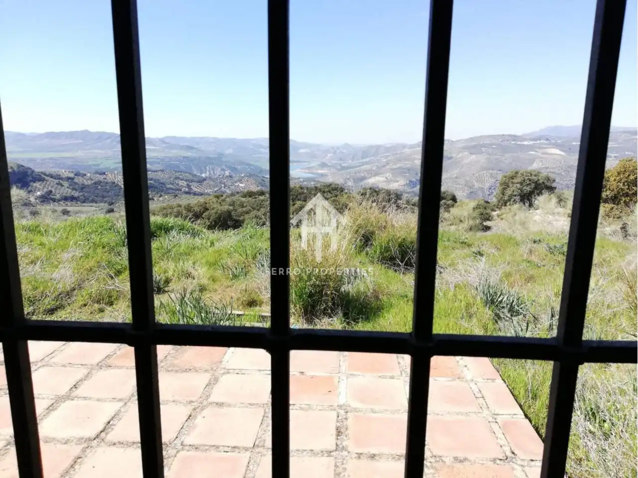 Jardín de Finca rústica en venta en Zagra