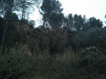 Terreny rústic en venda a Viladecavalls